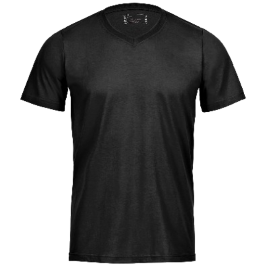 V-Neck T-Shirt Men schwarz | M