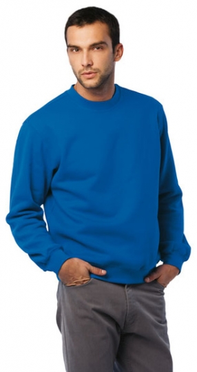 Heavy Blend Sweatshirt  